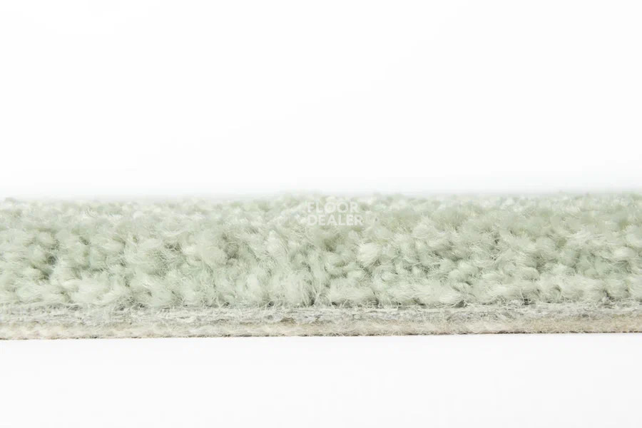 Vorwerk Superior 1067 Mira Vorwerk 4g82 фото 3 | FLOORDEALER